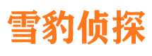 白云矿外遇出轨调查取证